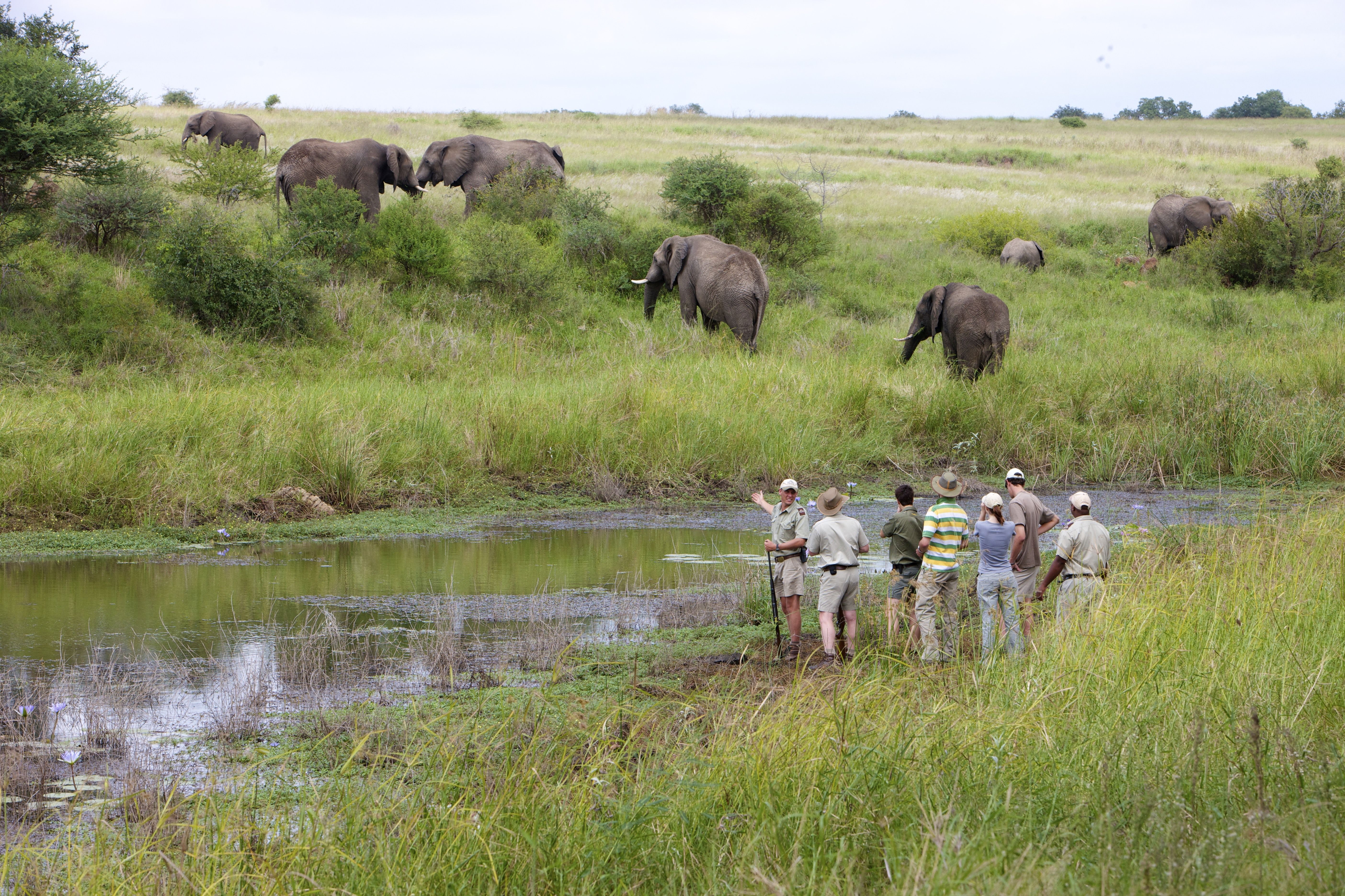 5 Gründe, im Kapama Private Game Reserve zu übernachten