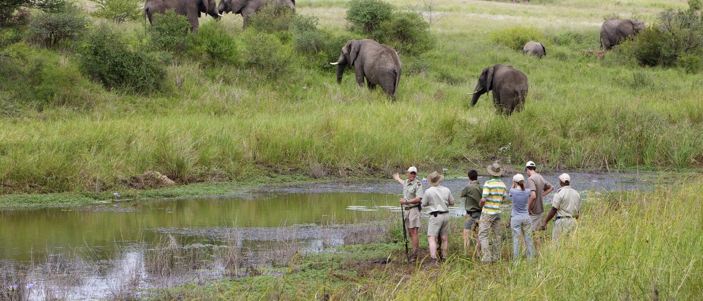 5 Gründe, im Kapama Private Game Reserve zu übernachten