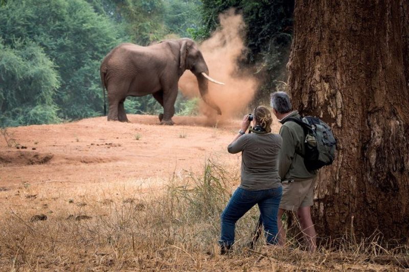 Météo au Parc Kruger | Safari à pied