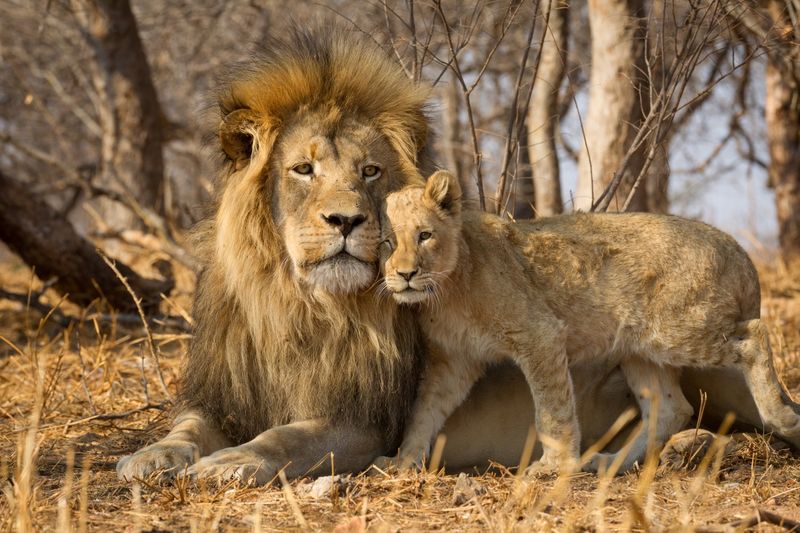 South Africa is one of Africa's most popular destinations as it's no surprise as to why!