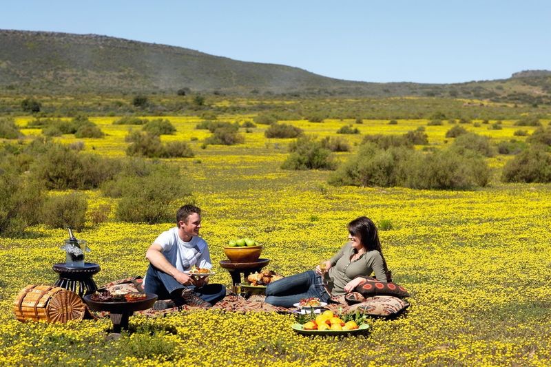  People having a picnic in the flowers of the West Coast of South Africa