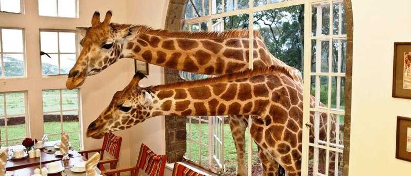Top 10 Things to do in Nairobi