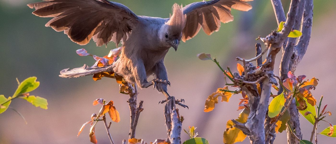 APOTY Top Picks | Africa off the Beaten Track