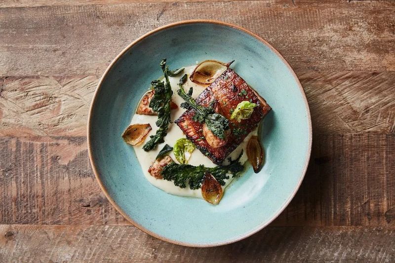 Plated bacon chop with creamy sauce