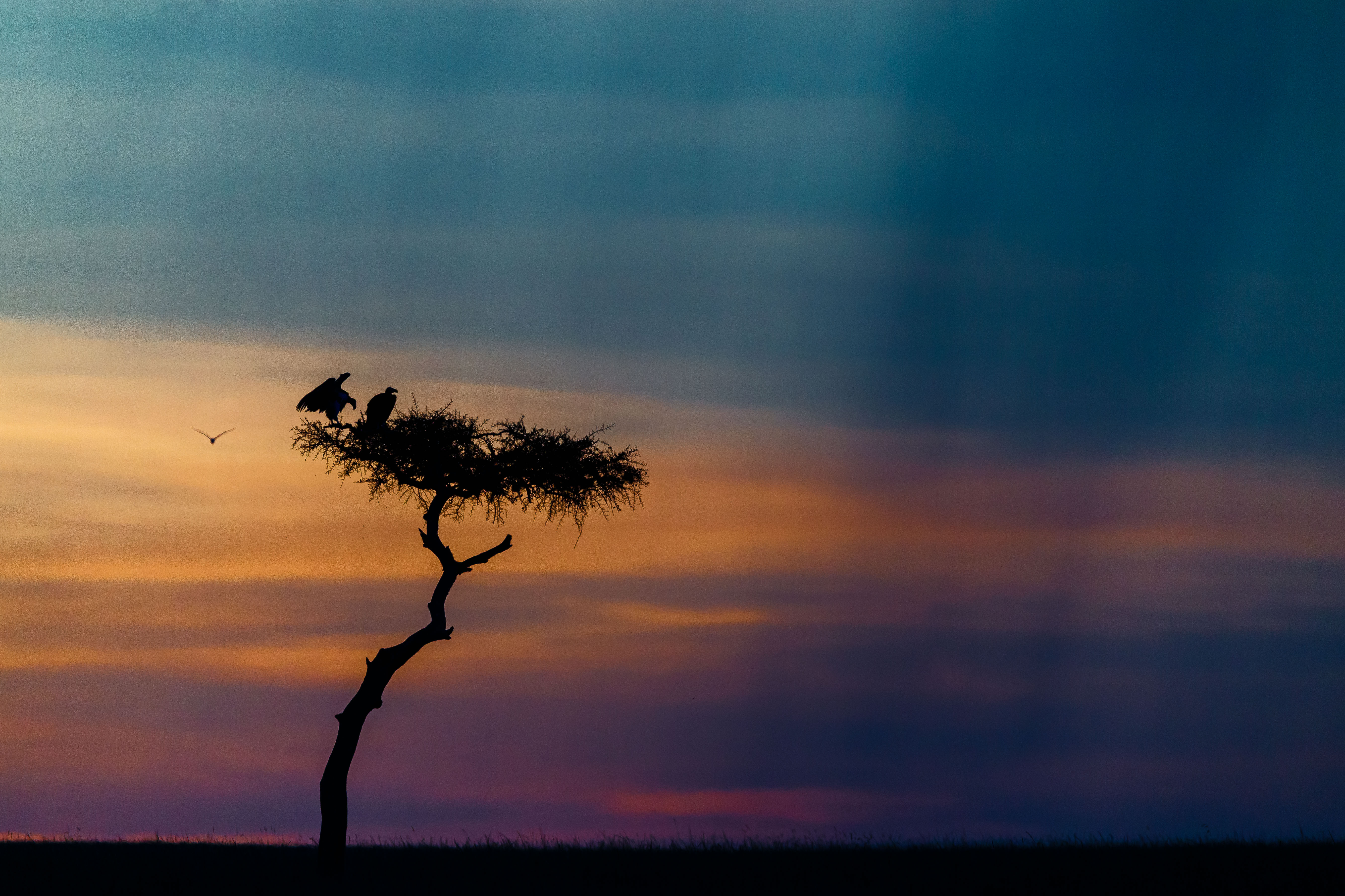 Top Photography Tips from Thorsten Hanewald