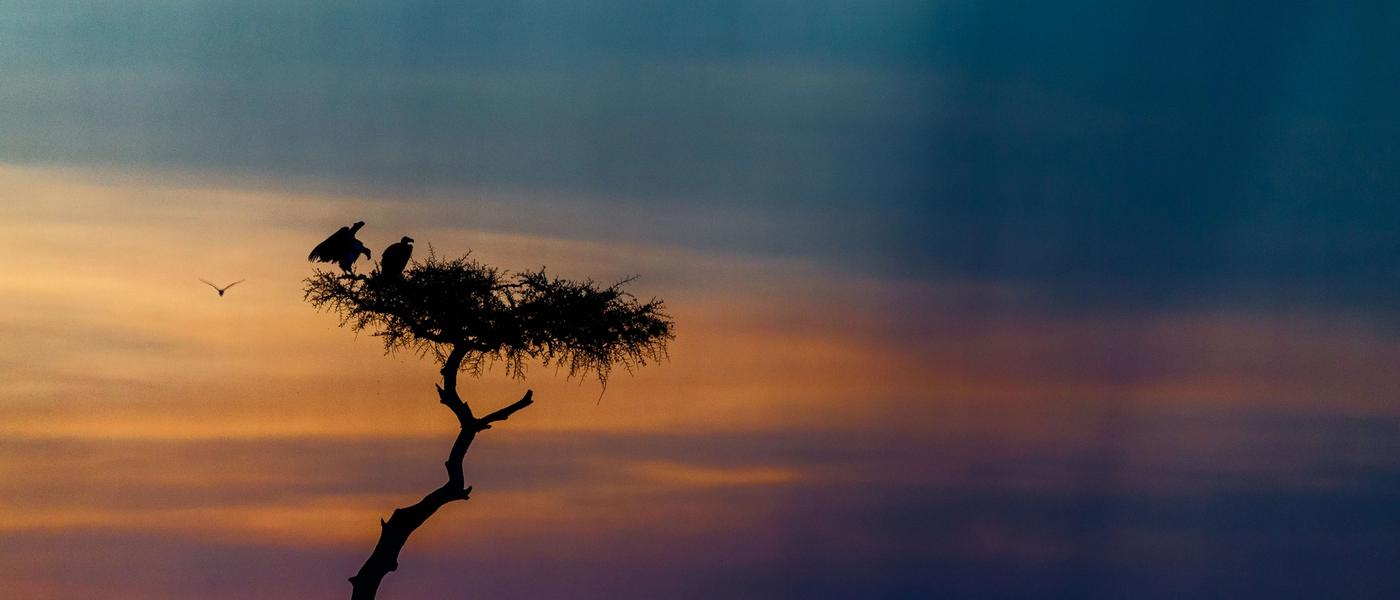 Top Photography Tips from Thorsten Hanewald