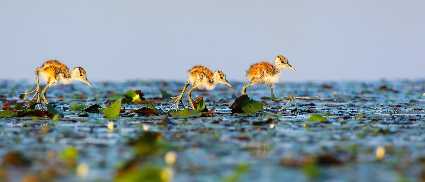 Top Photography Tips from John Mullineux