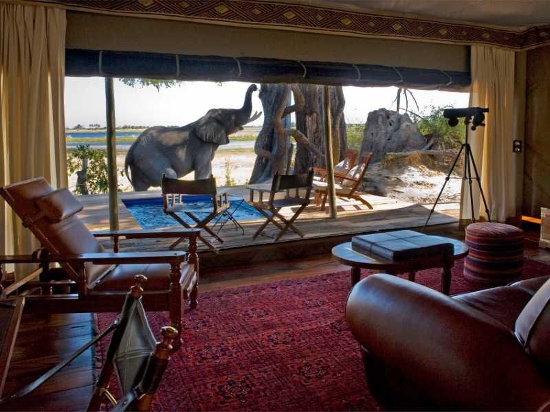 With its proximity and exclusive access to the Zibadianja Lagoon, Zara Camp is one of the best places to stay in Southern Africa