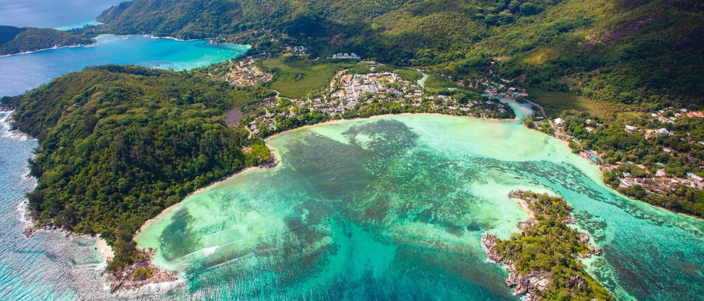 Mesmerizing Seychelles Wildlife