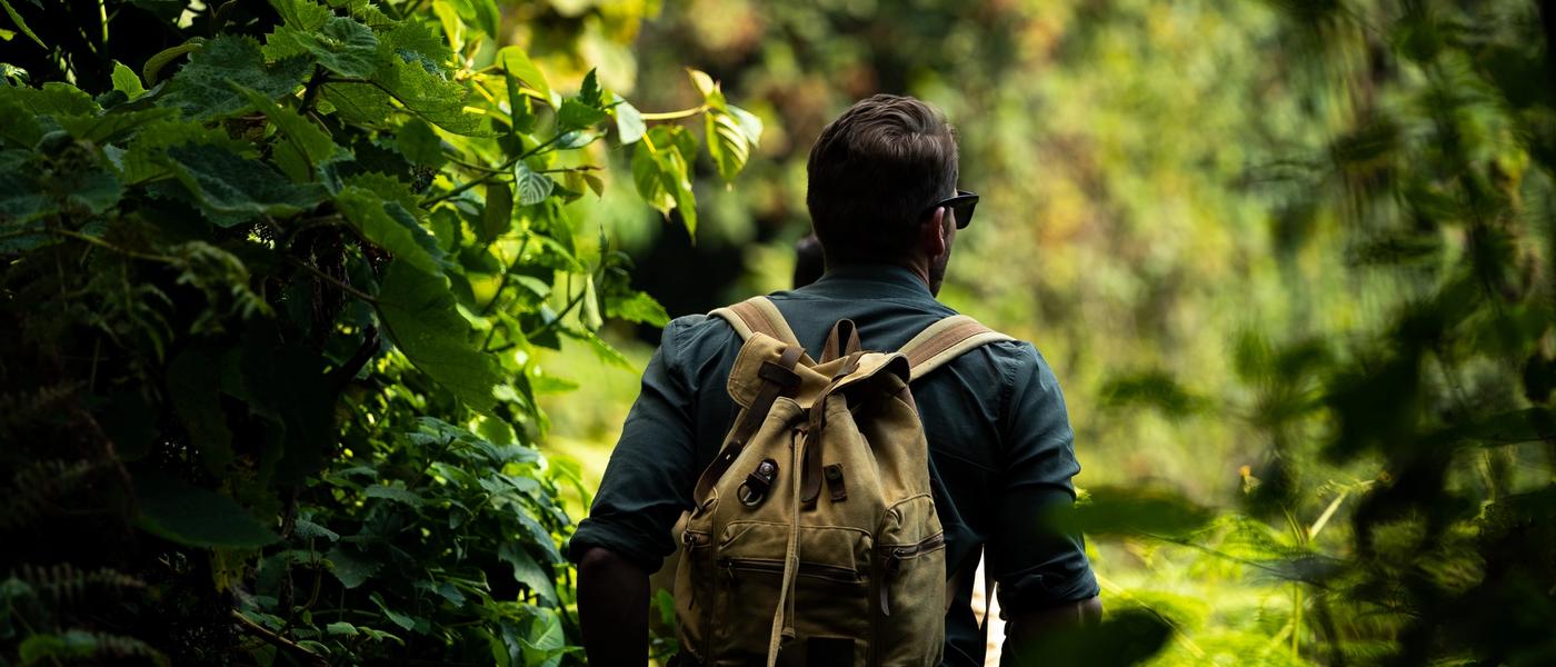 Ecoturismo em Ruanda e seu impacto