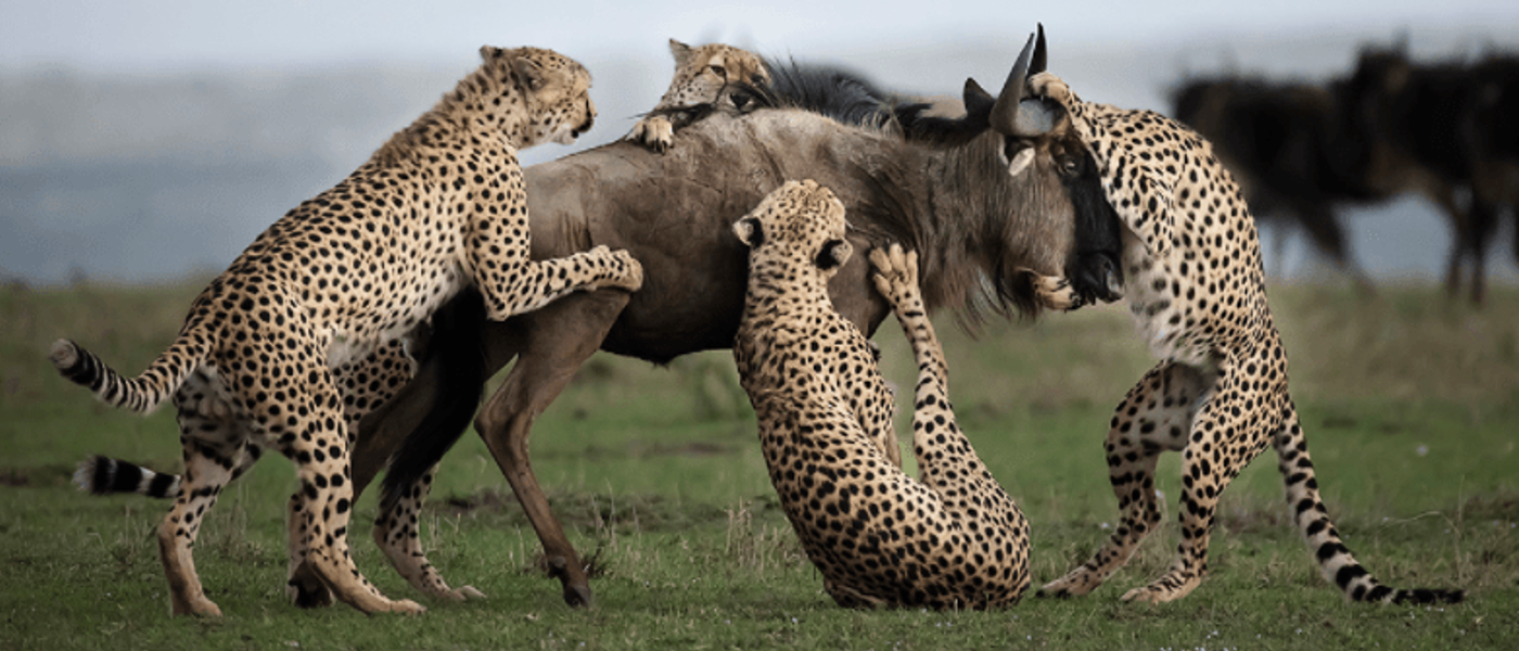 Africa's Photographer of the Year 2017 Winner: In Conversation with Clement Kiragu