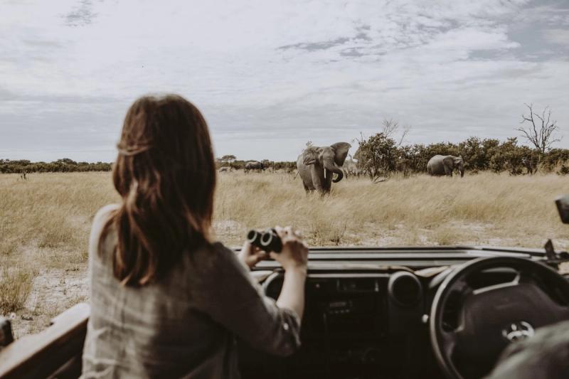 Book your safari early to enjoy a game drive at Vumbura Plains