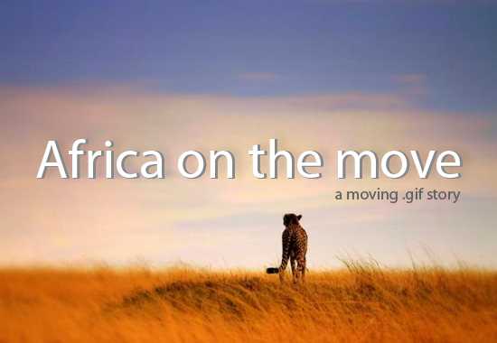 African Animals - A Moving Story