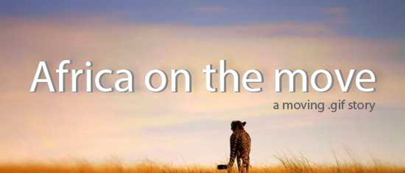 African Animals - A Moving Story