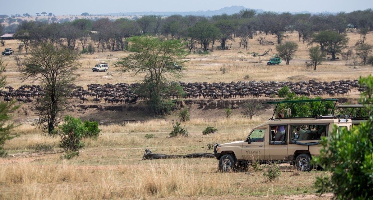 8 tipos de safári para fazer na África