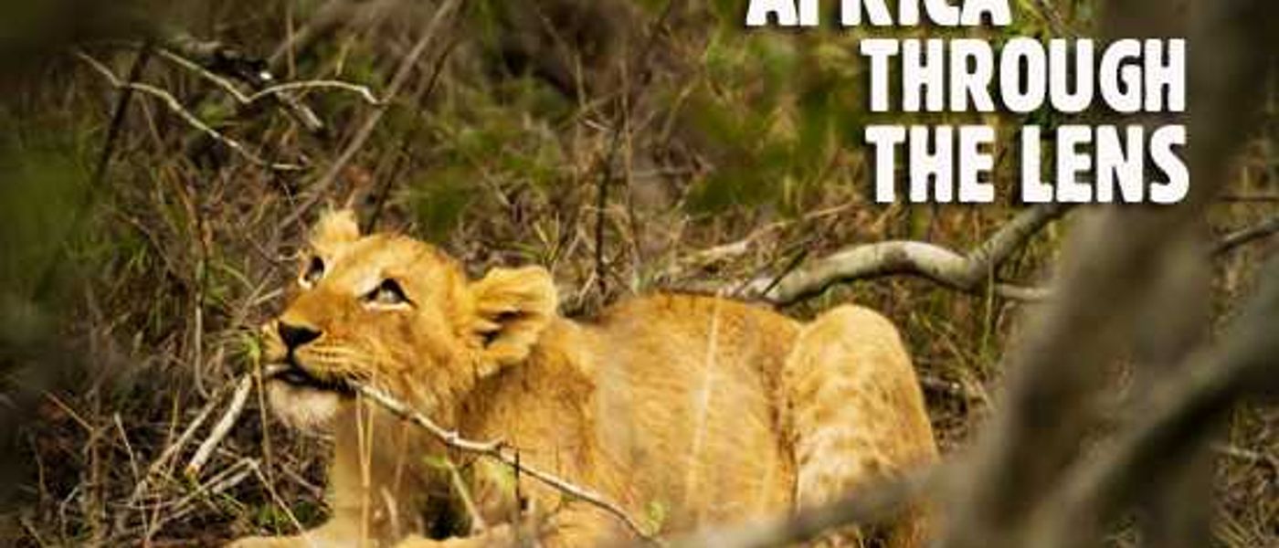 A Photo Safari with Shaun Stanley