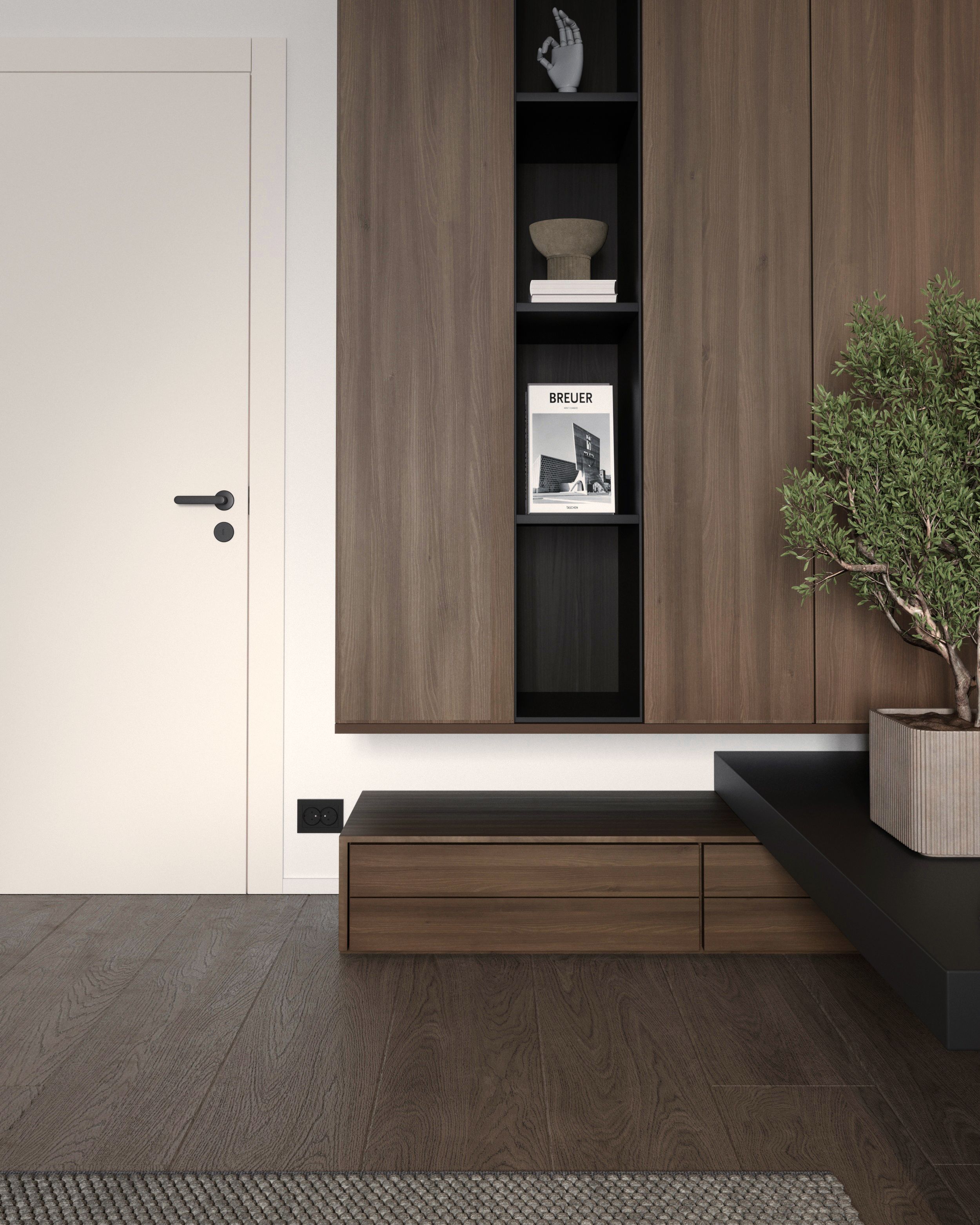 Entrance with wood wall, black niche shelves and olive tree, apartment in Skopje