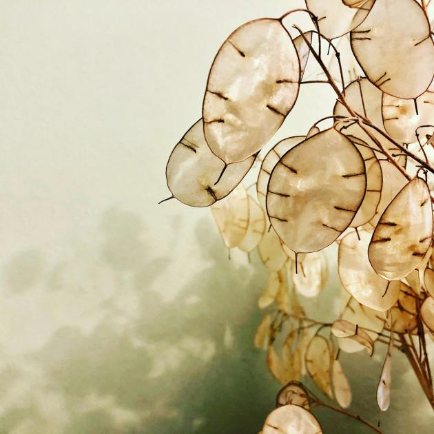 2025 UK Seed Fundraising: Research Pack