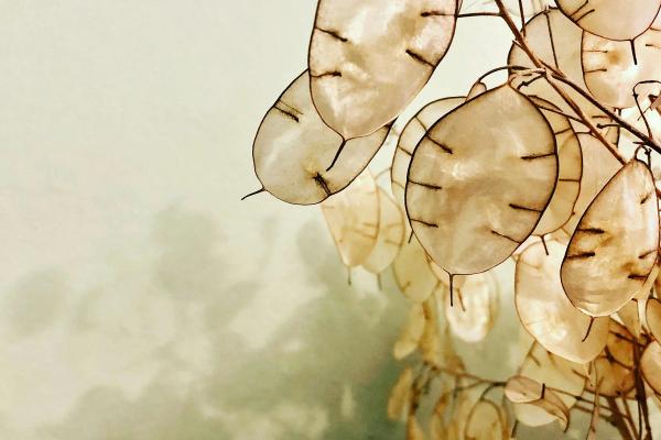 2025 UK Seed Fundraising: Research Pack