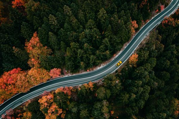 UK Autumn Budget 2025: What EIS, SEIS and VCT changes mean for founders and angel investors