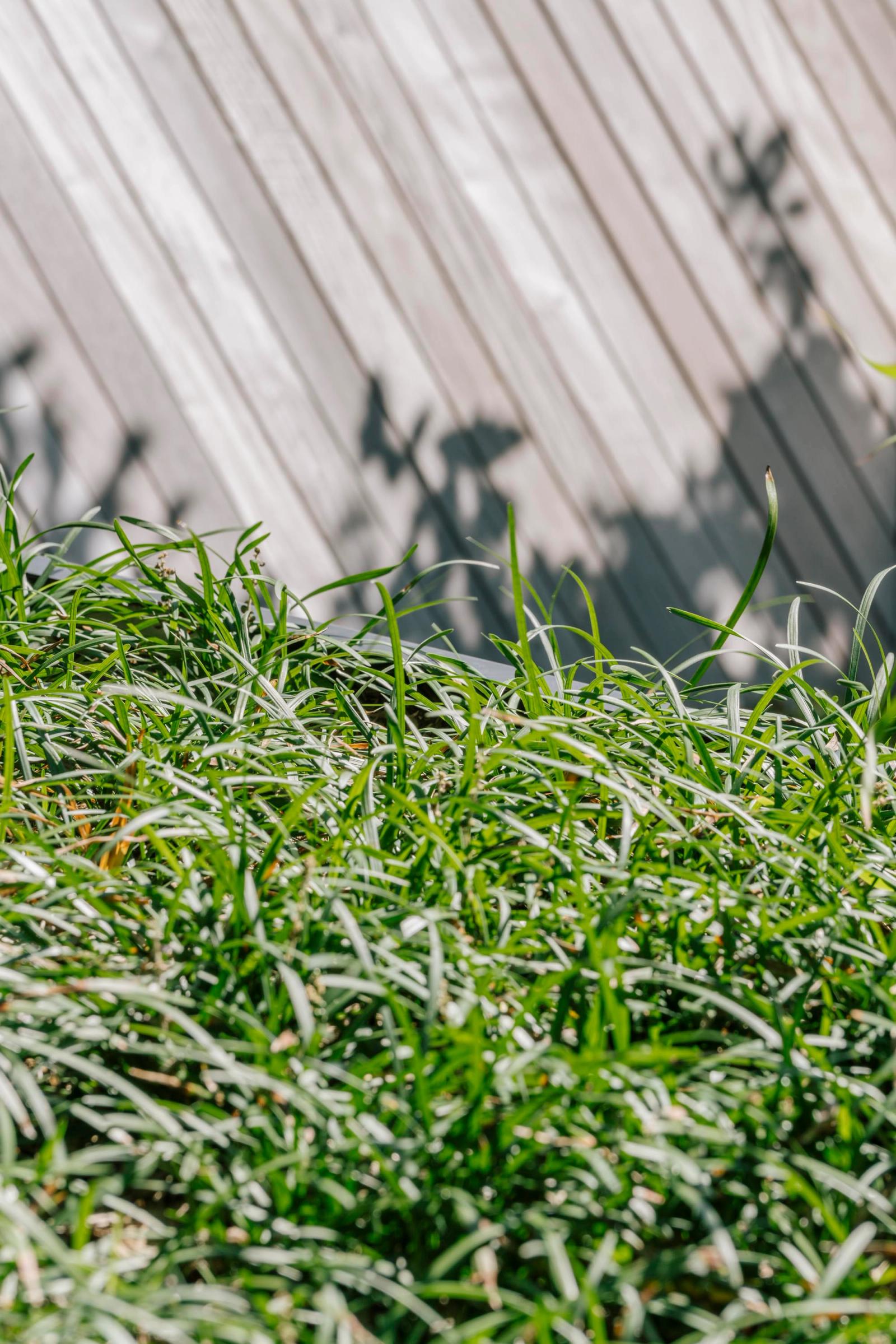 project thumbnail icon