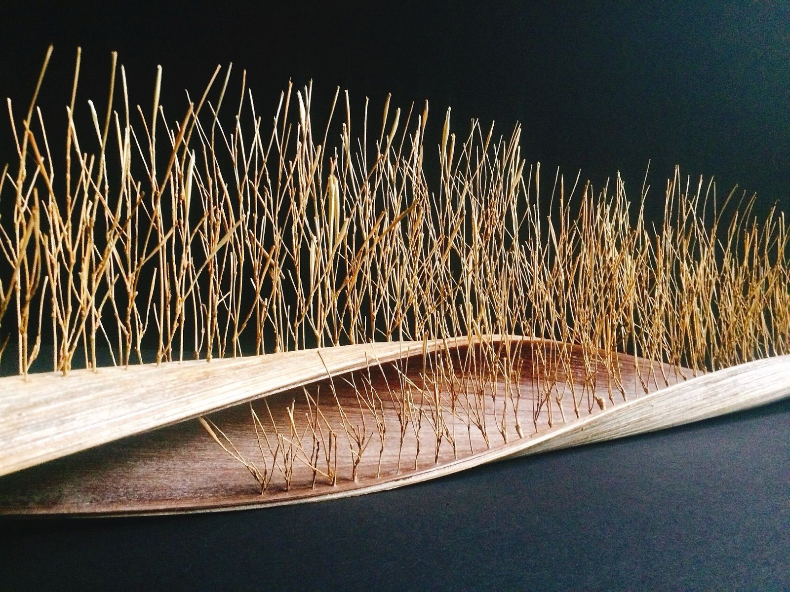 Bamboo branch sculpture and artwork by Nagi Studio