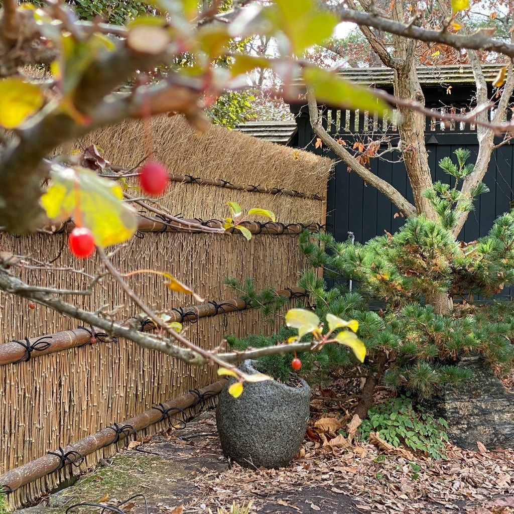 Takeho-gaki bamboo fence with stone basin and pine