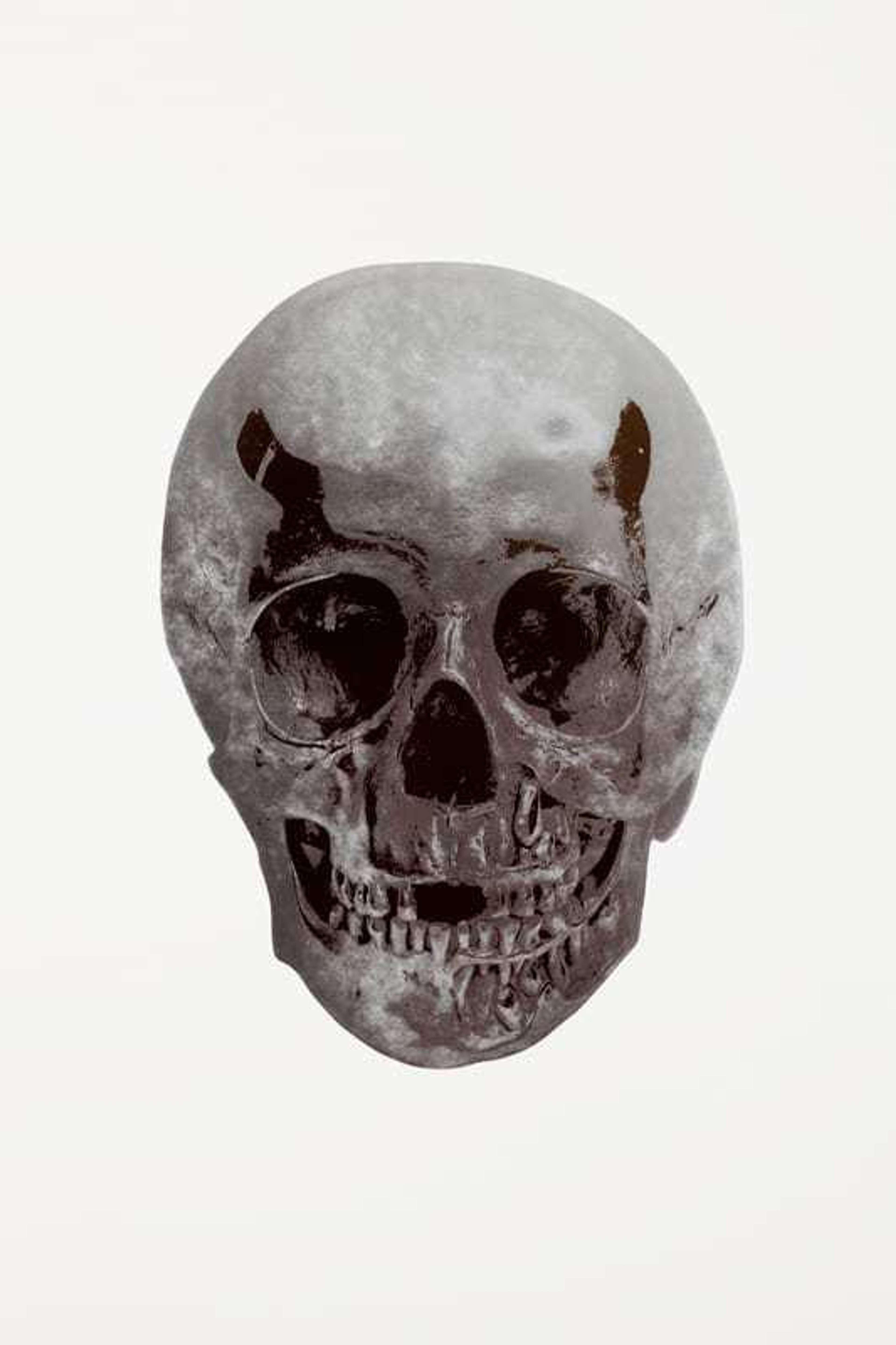 The Dead (silver gloss, gunmetal) - Signed Print by Damien Hirst 2009 - MyArtBroker