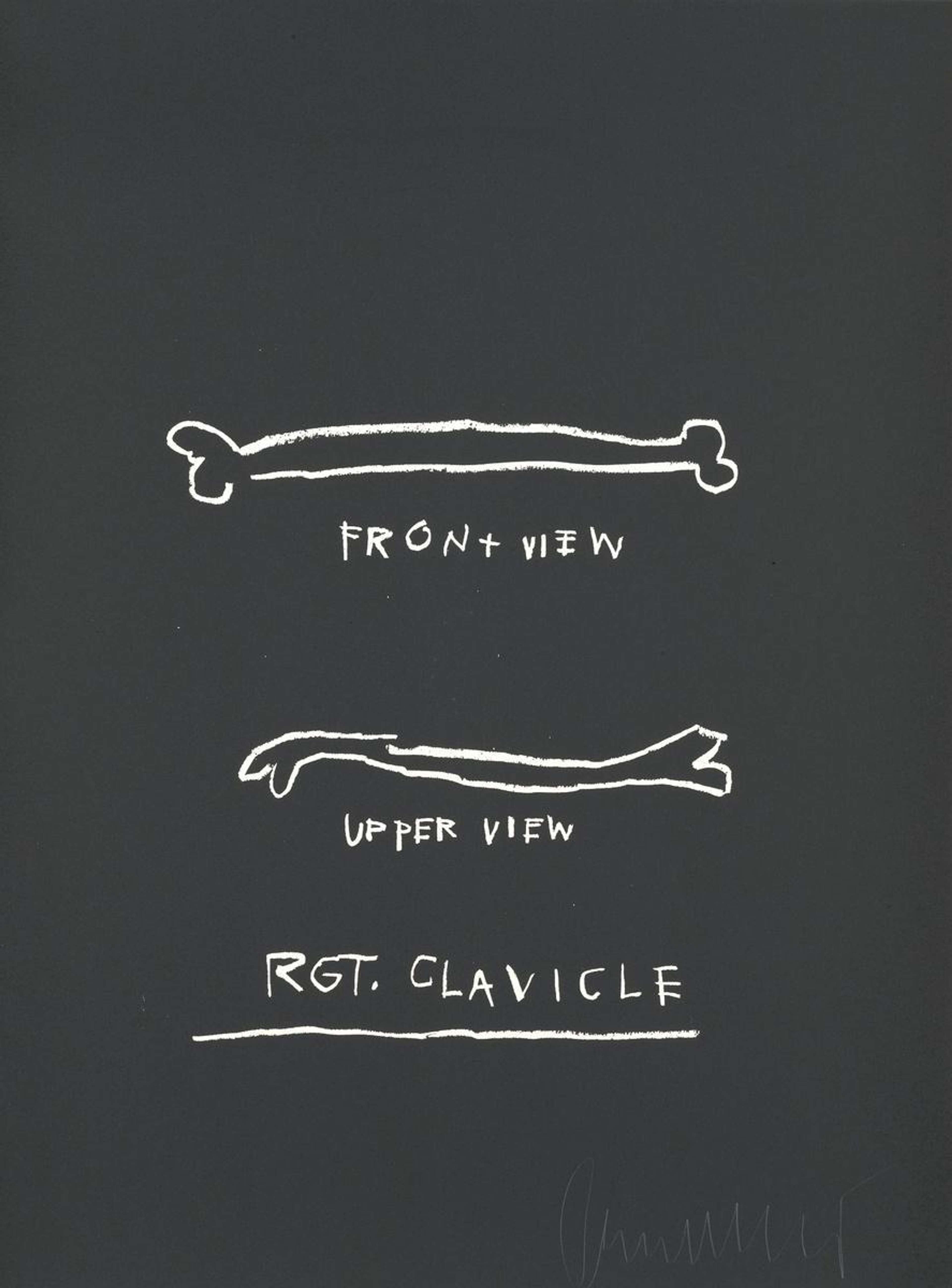 Right Clavicle, Anatomy Series by Jean-Michel Basquiat