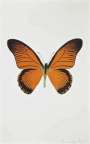 Damien Hirst: The Souls IV (prairie copper, raven black, leaf green) - Signed Print