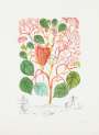 Salvador Dali: Begonia Anacardium Recordans (Flordali) - Signed Print