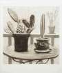 David Hockney: Cacti On Terrace - Signed Print