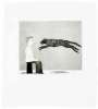 David Hockney: A Black Cat Leaping - Signed Print