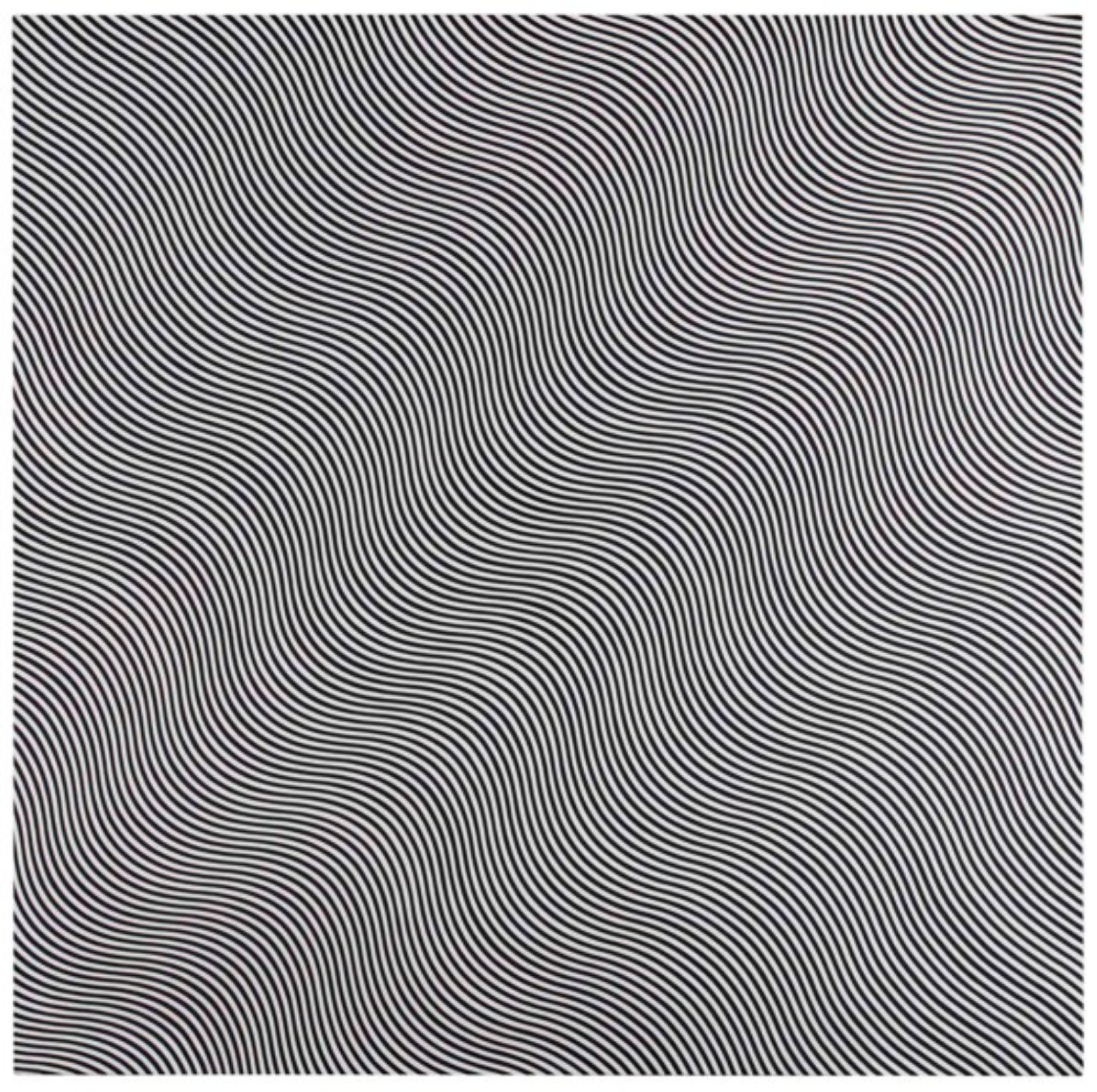 Untitled (Diagonal Curve) by Bridget Riley 