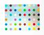 Damien Hirst: Silver Spot Landscape - Signed Print