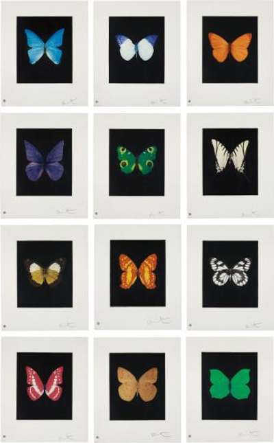 Butterfly Etching (complete set) - Signed Print by Damien Hirst 2009 - MyArtBroker