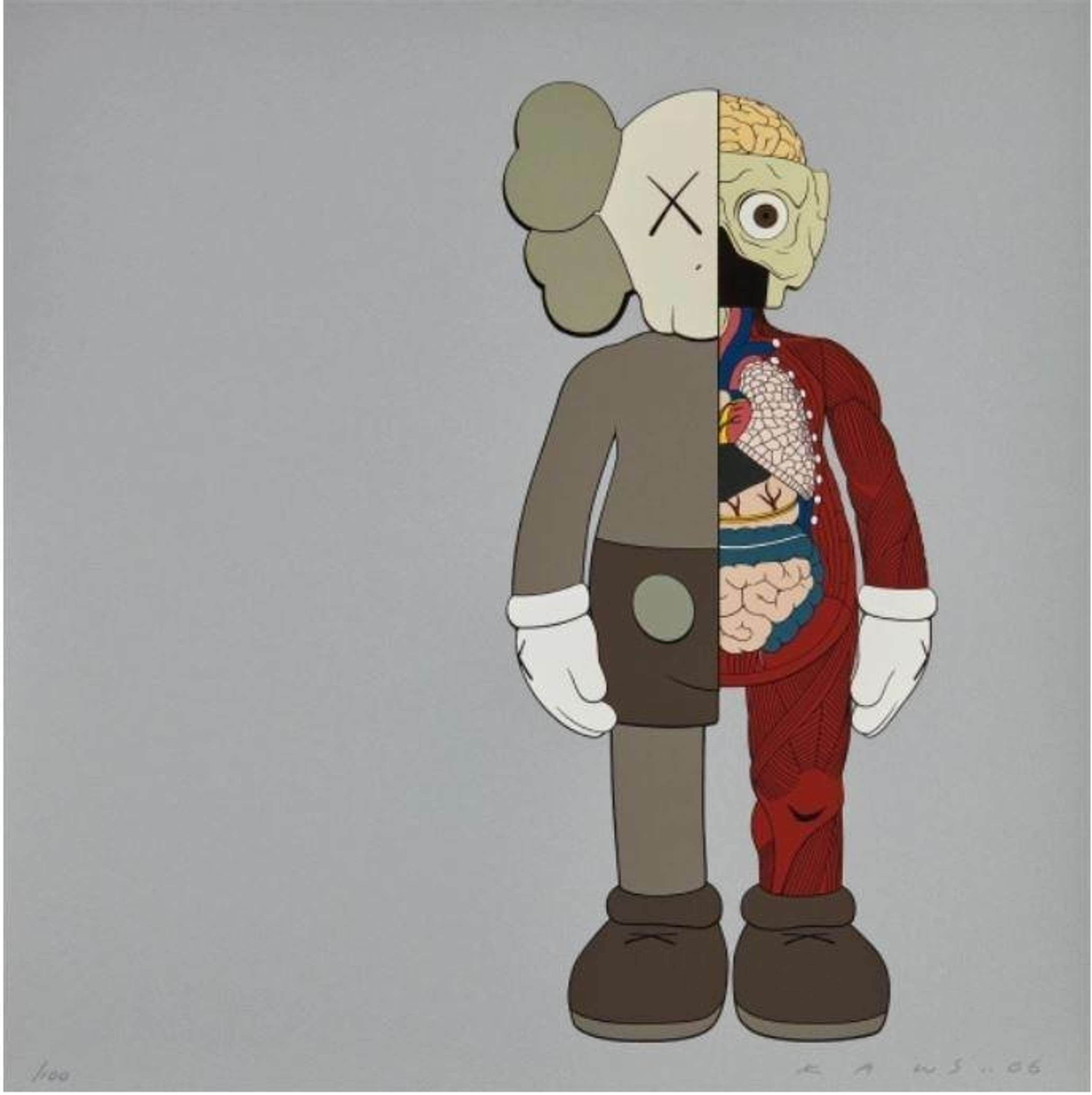 Dissected Companion (brown) by KAWS