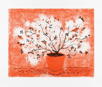 Red Wire Plant - Signed Print by David Hockney 1998 - MyArtBroker