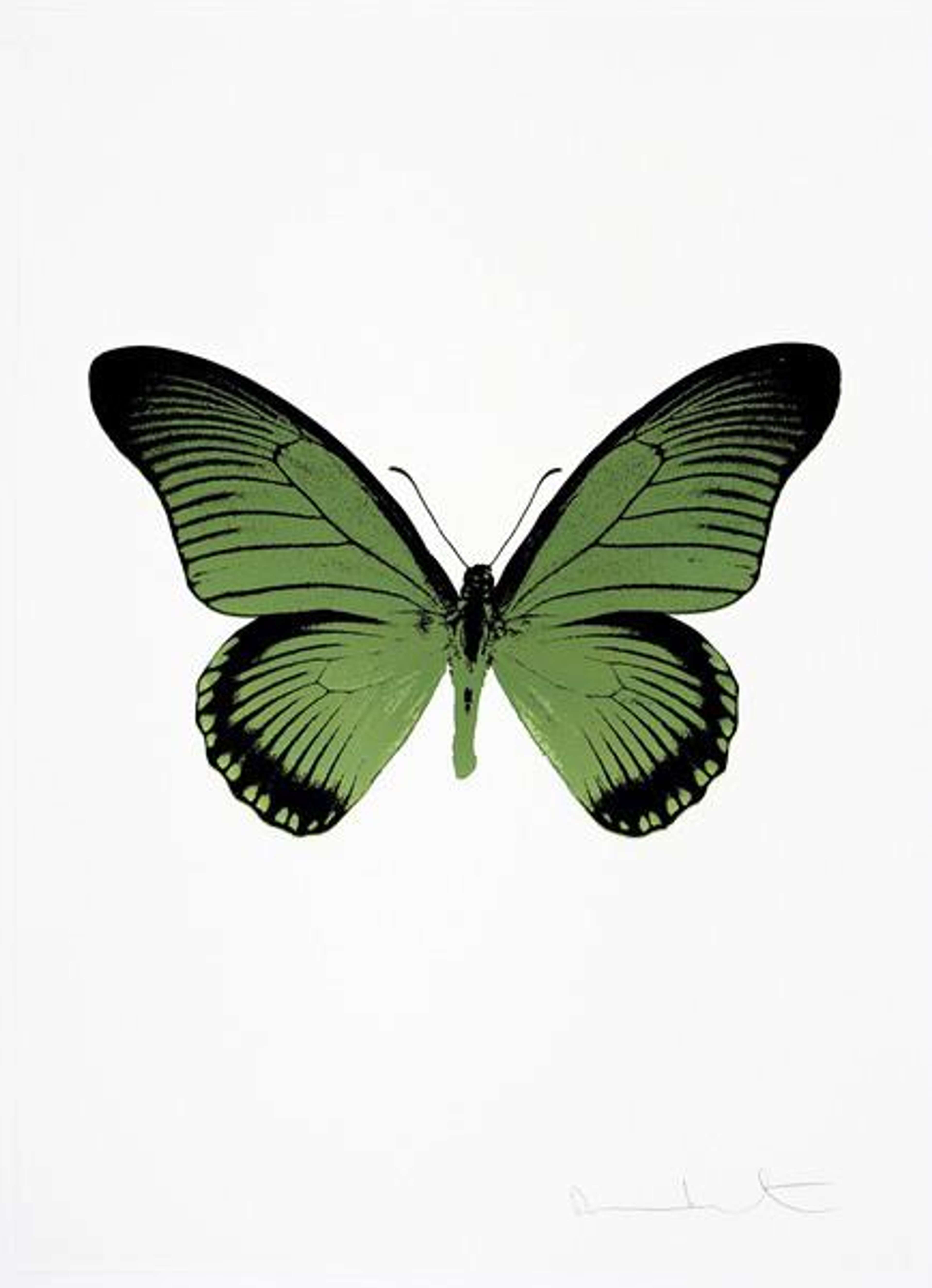 The Souls IV (leaf green, raven black, silver gloss) - Signed Print by Damien Hirst 2010 - MyArtBroker