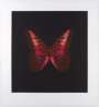 Damien Hirst: Memento 1 - Signed Print