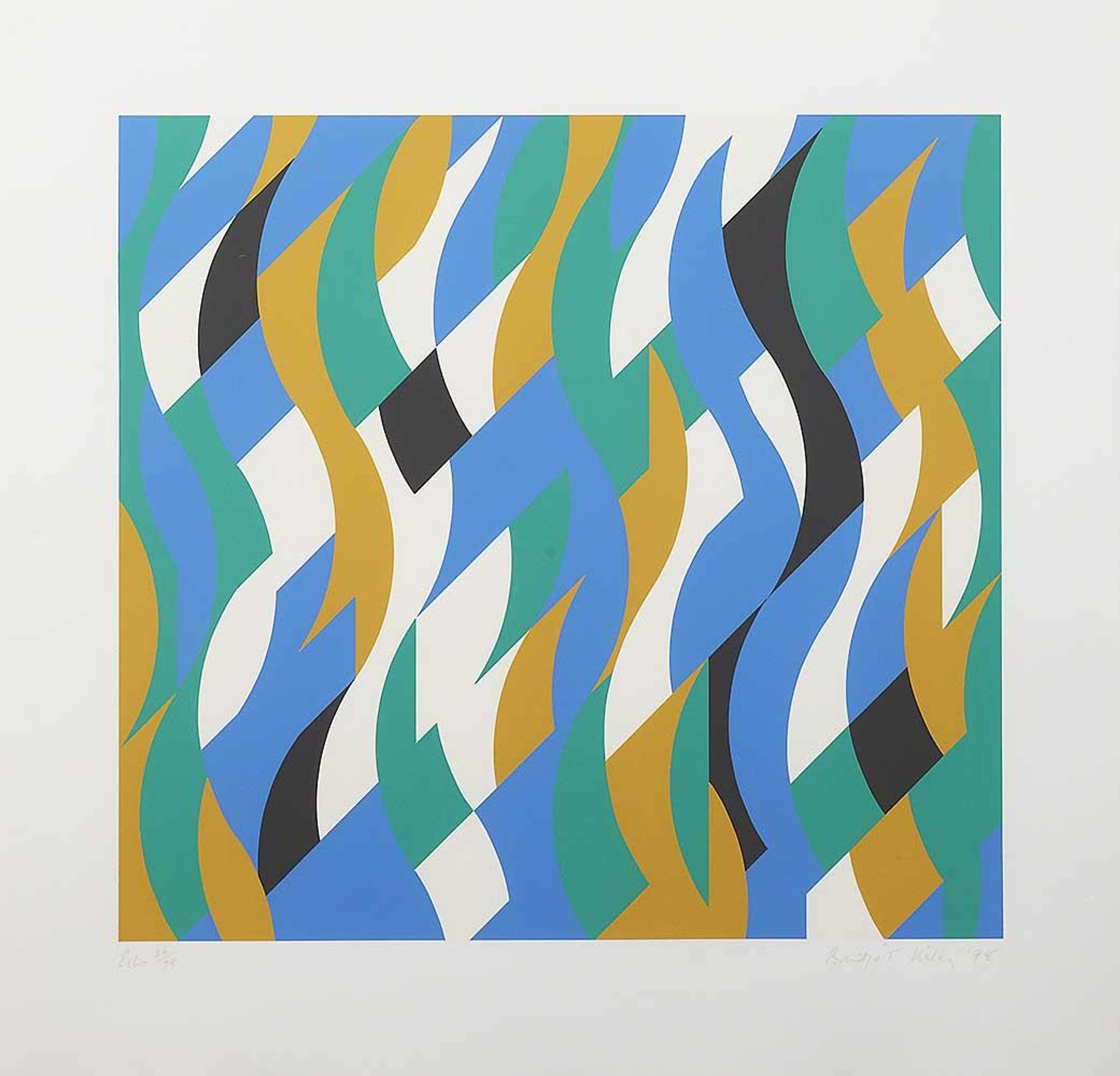 Echo by Bridget Riley