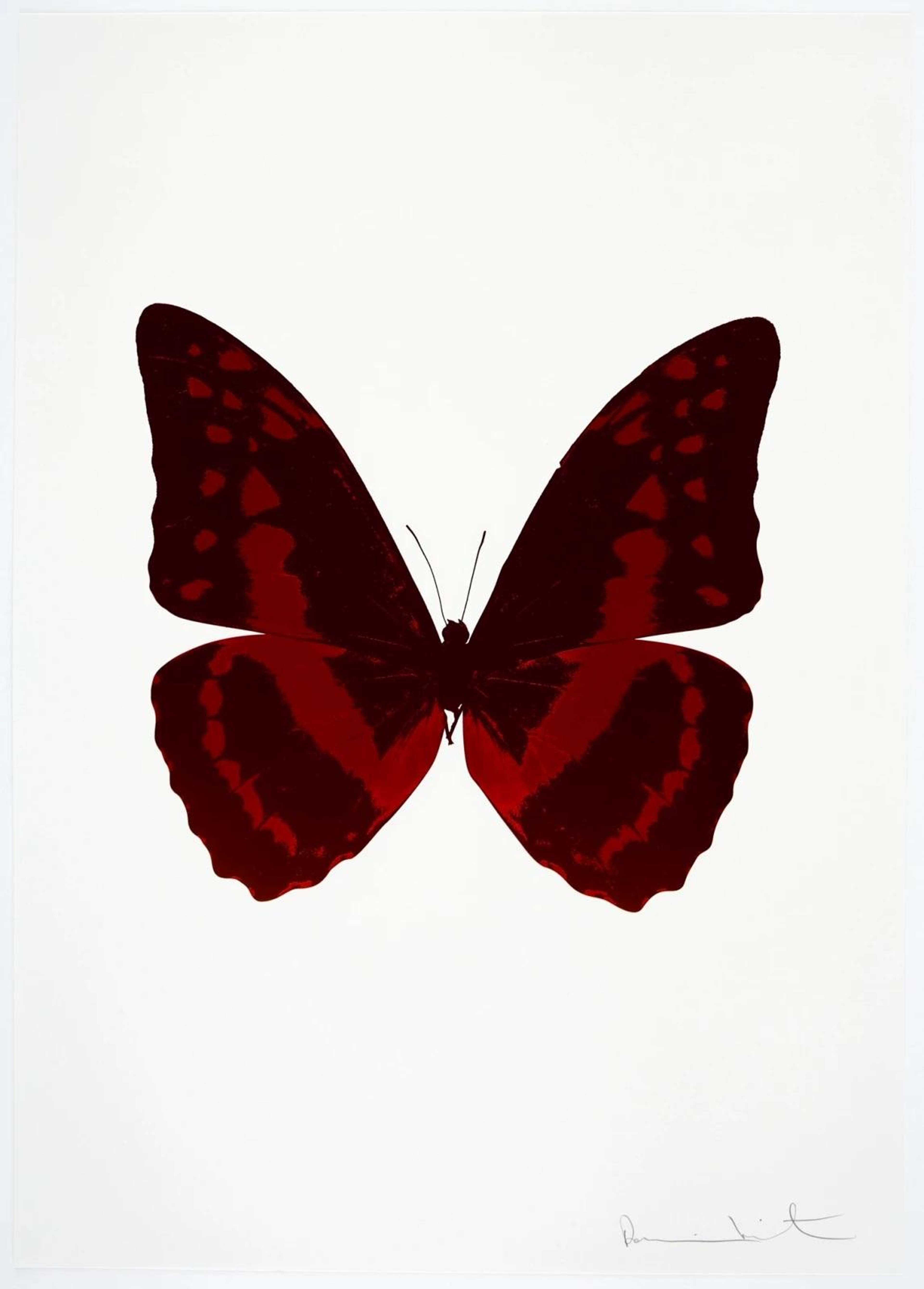 The Souls III (burgundy, chilli red) - Signed Print by Damien Hirst 2010 - MyArtBroker