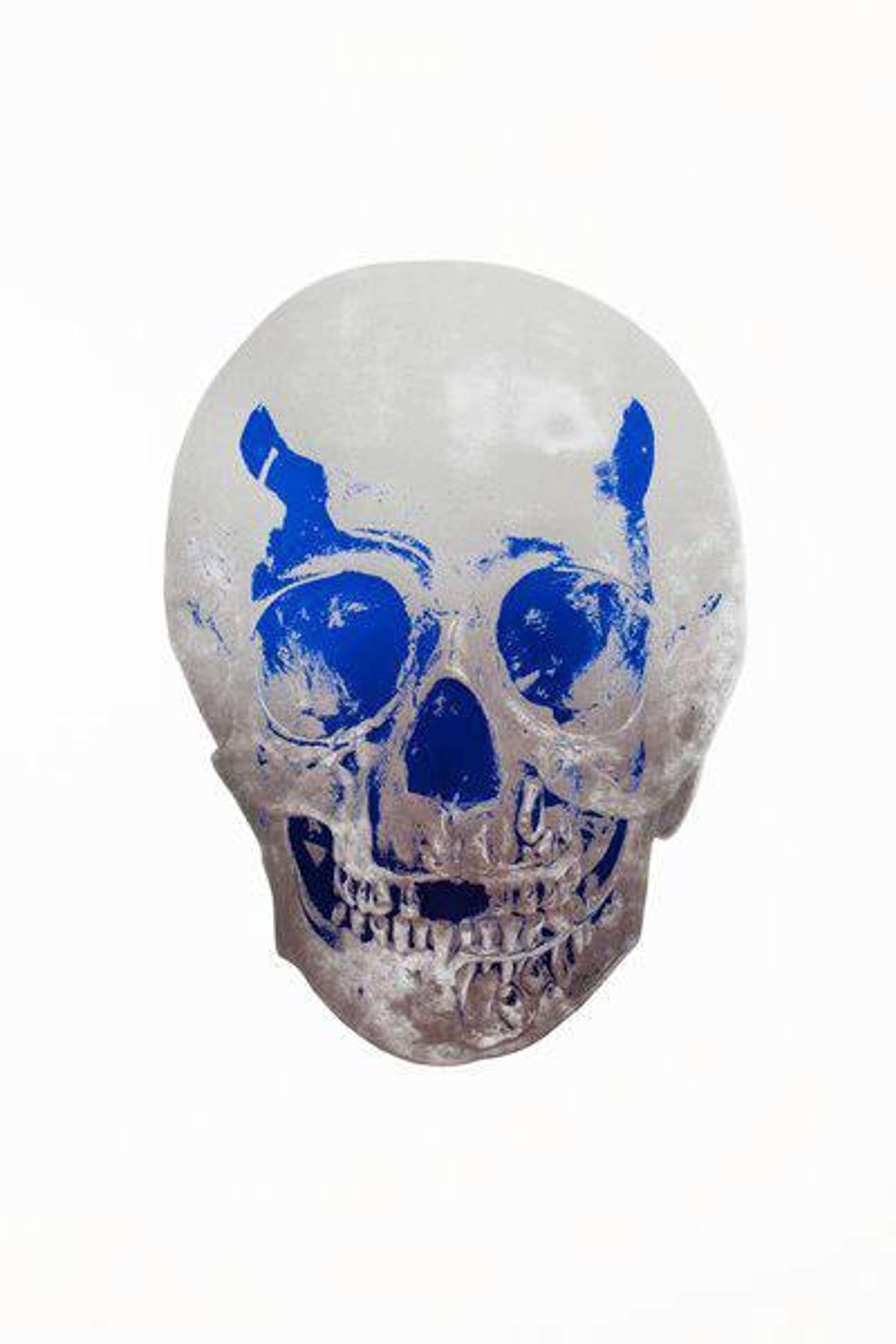 A skull in silver gloss with bold Westminster blue shading. Set against a white background, the minimalist design produces a floating effect, as the skull appears to float in the centre of the composition.