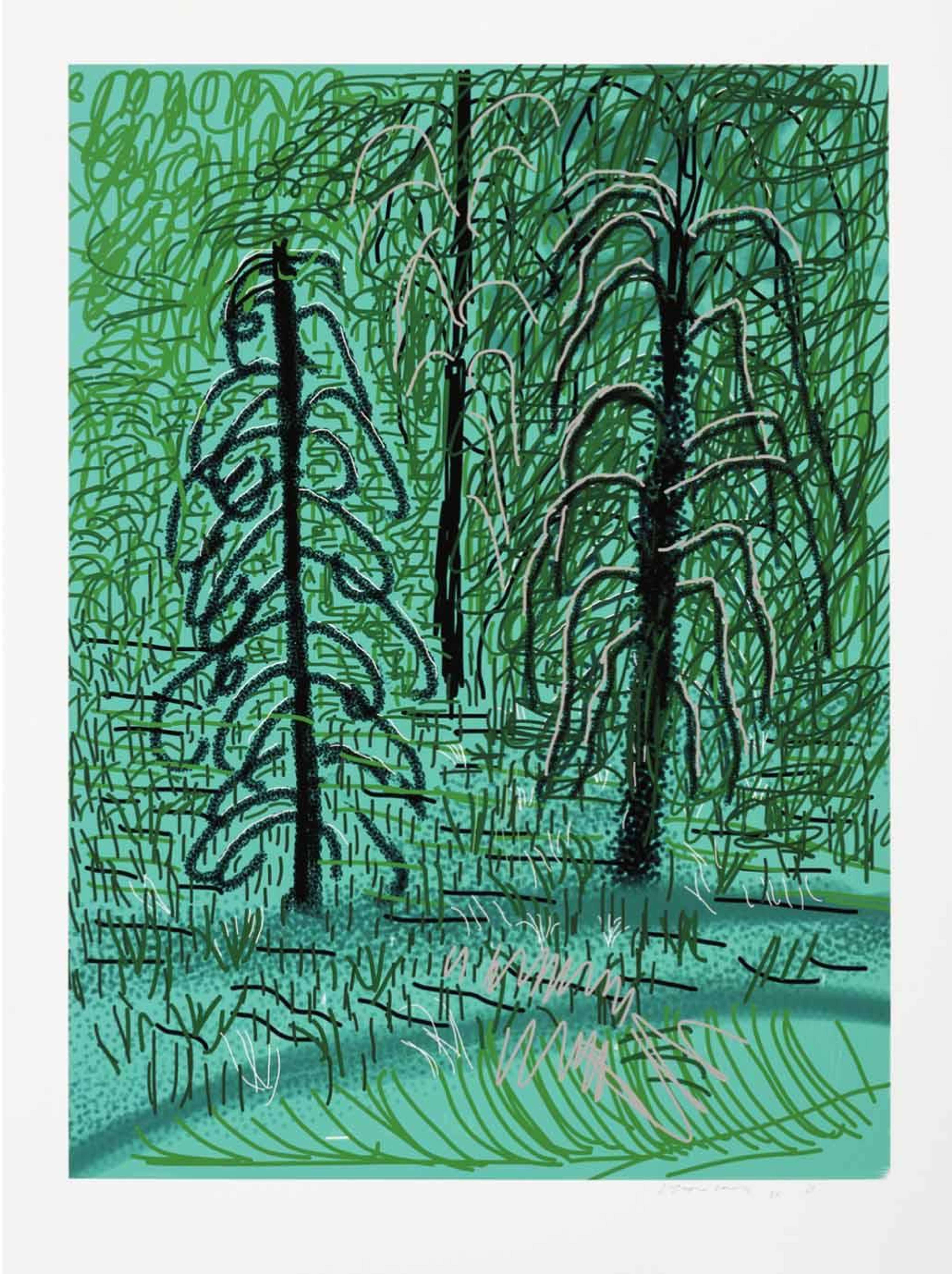 The Yosemite Suite 16 - Signed Print by David Hockney 2010 - MyArtBroker