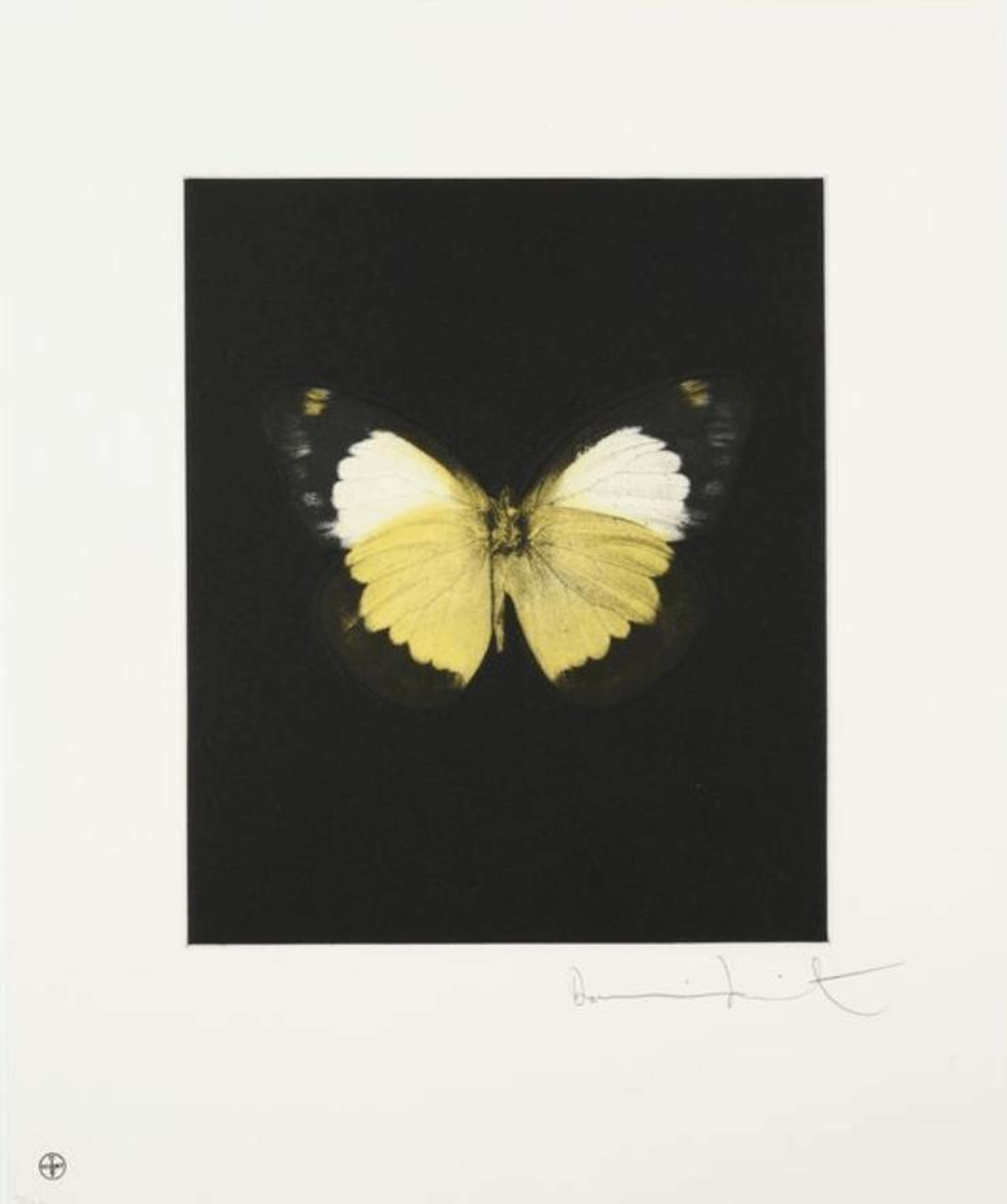 Reveal - Signed Print by Damien Hirst 2009 - MyArtBroker