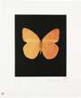 Damien Hirst: Prosperity - Signed Print