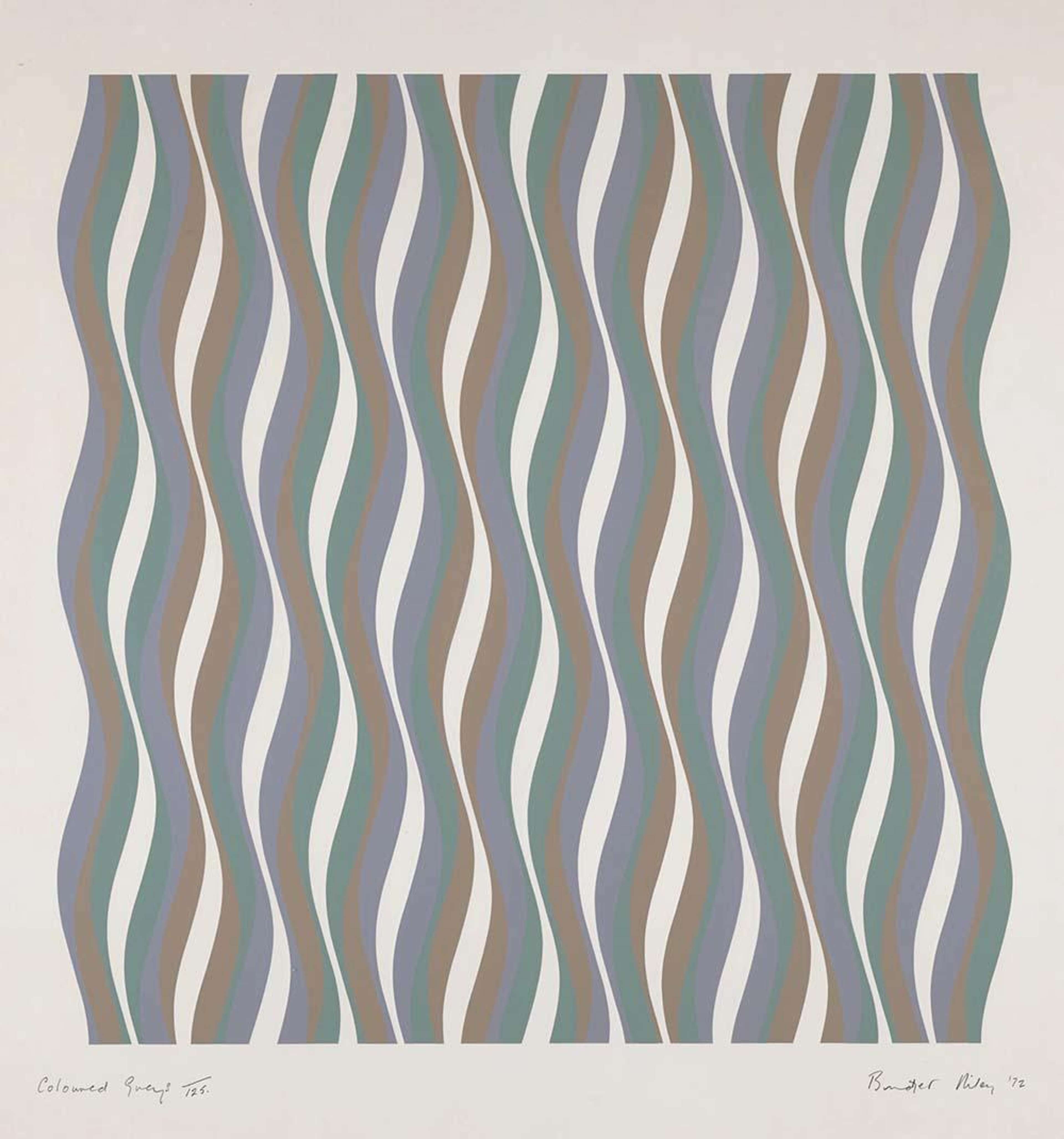 Coloured Greys 1 by Bridget Riley