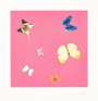 Damien Hirst: Lullaby - Signed Print