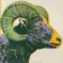 Andy Warhol: Bighorn Ram (F. & S. II.302) - Signed Print