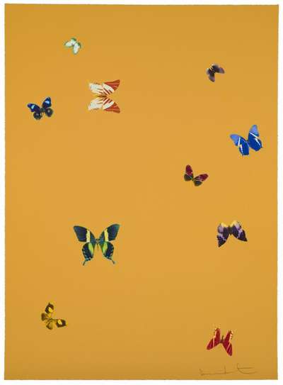 Your Beauty - Signed Print by Damien Hirst 2015 - MyArtBroker